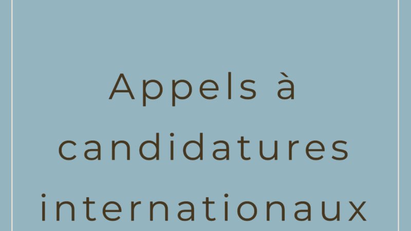 Appels à candidatures internationaux du 15 octobre 2024